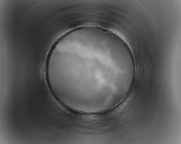 X0000089371045200706291244