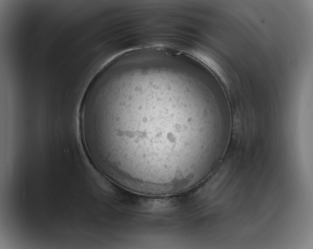 X0000089371047200706291244