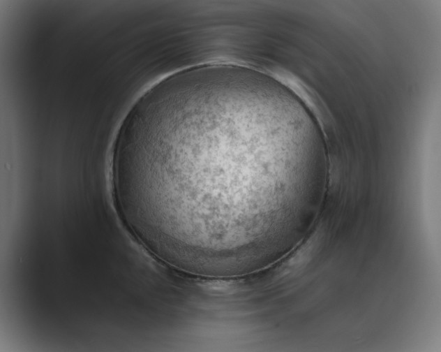 X0000089371048200706291244