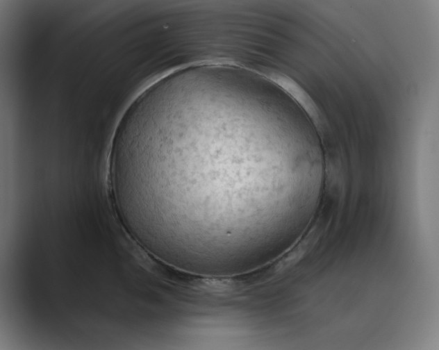 X0000089371052200706291244