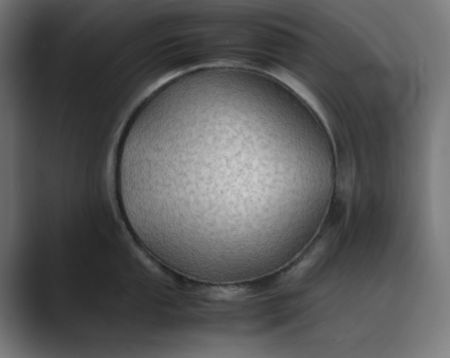 X0000089371053200706291244