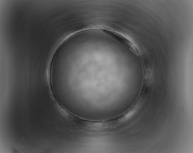 X0000089371054200706291244