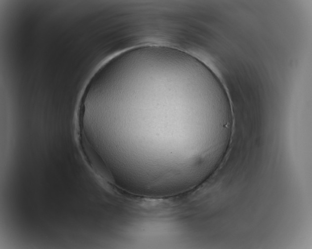 X0000089371056200706291244