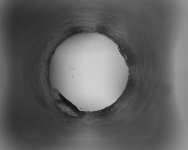 X0000089371057200706291243