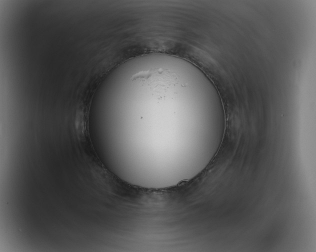 X0000089371058200706291243