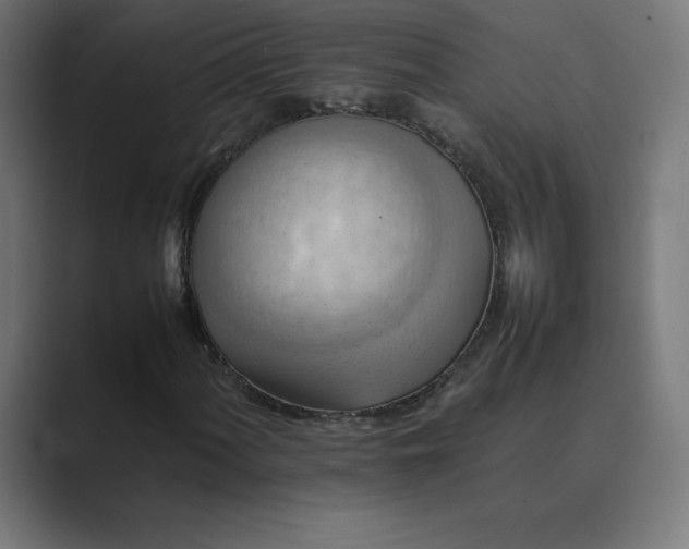 X0000089371060200706291243