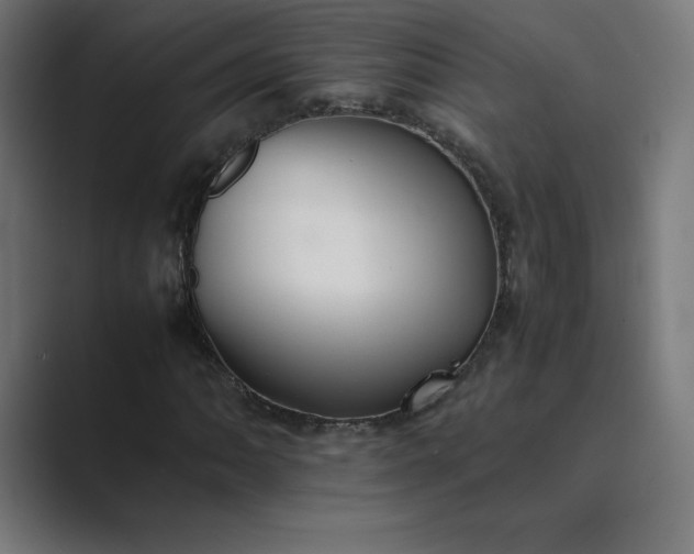 X0000089371062200706291243