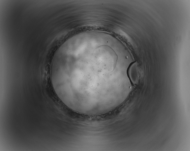 X0000089371064200706291243
