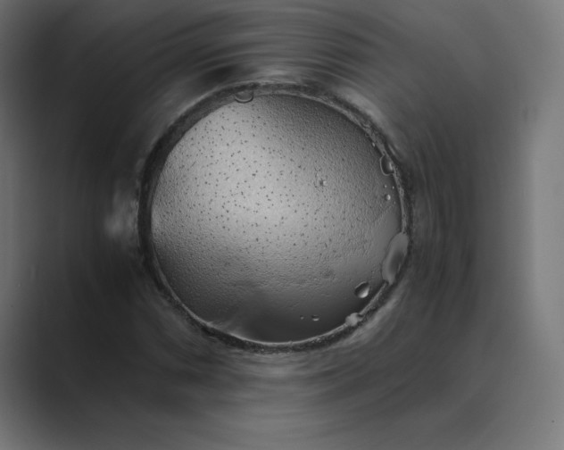 X0000089371066200706291243