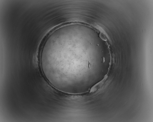 X0000089371068200706291243