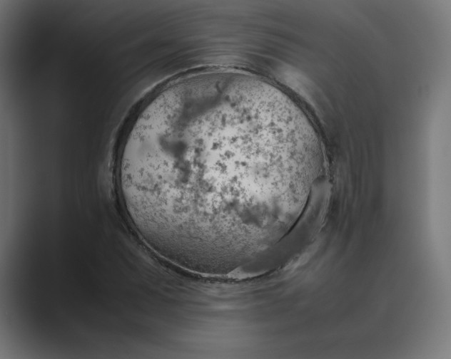 X0000089371071200706291243