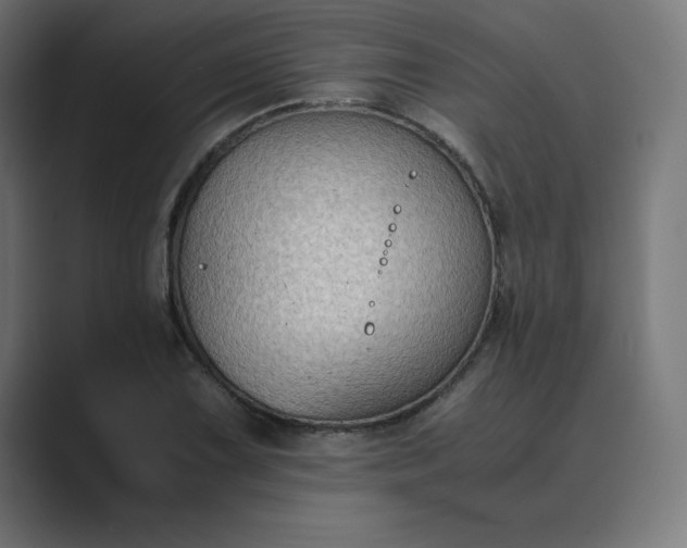 X0000089371075200706291243