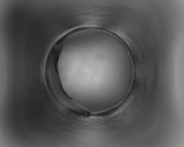 X0000089371077200706291243
