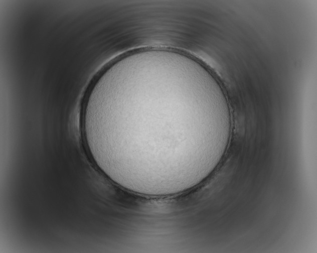 X0000089371078200706291243