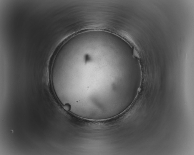 X0000089371079200706291243