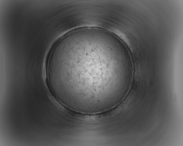 X0000089371080200706291243