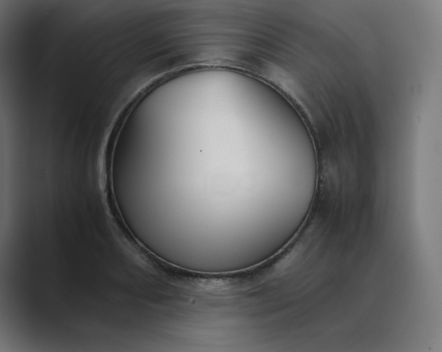 X0000089371082200706291243