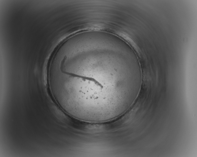 X0000089371083200706291243