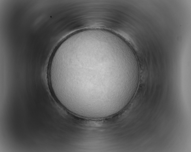 X0000089371086200706291243