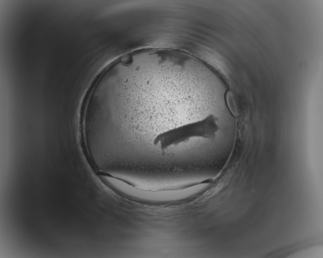 X0000089371087200706291243