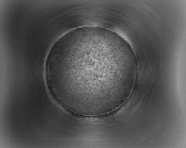 X0000089371088200706291243