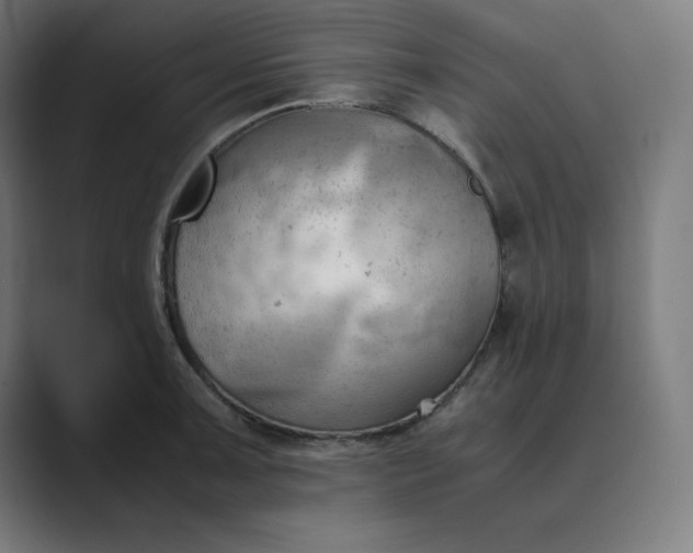 X0000089371091200706291243