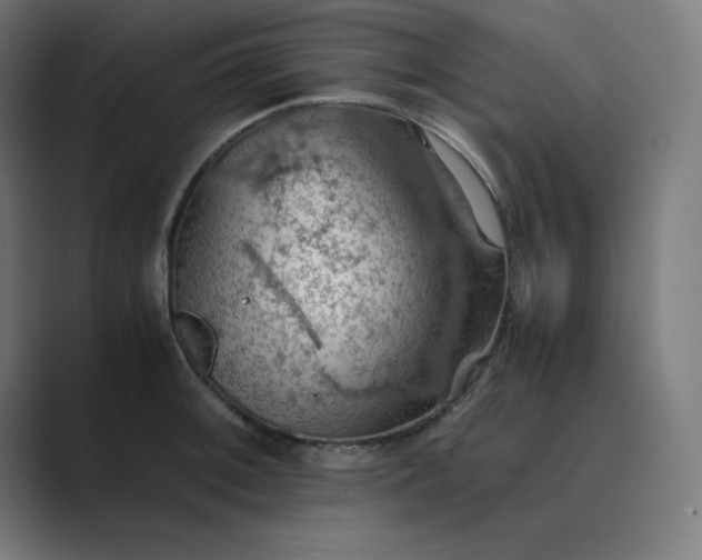 X0000089371092200706291243