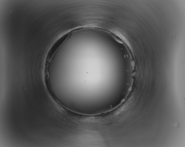 X0000089371093200706291243