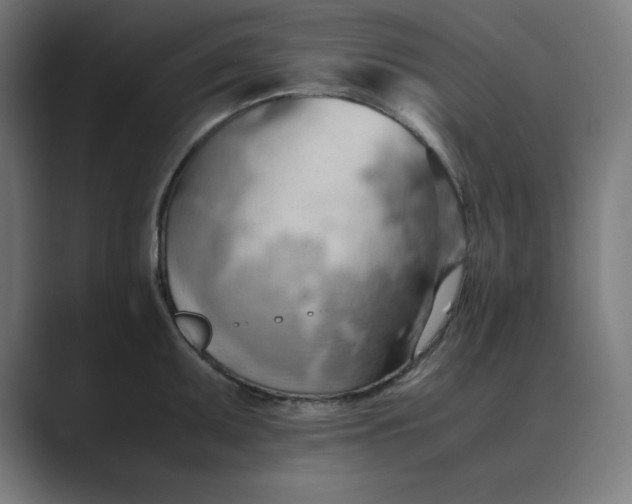 X0000089371095200706291243