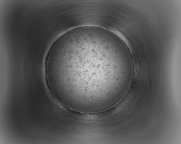 X0000089371096200706291243