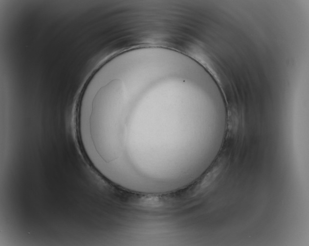 X0000089371098200706291243