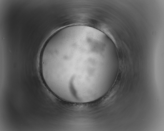 X0000089371099200706291243