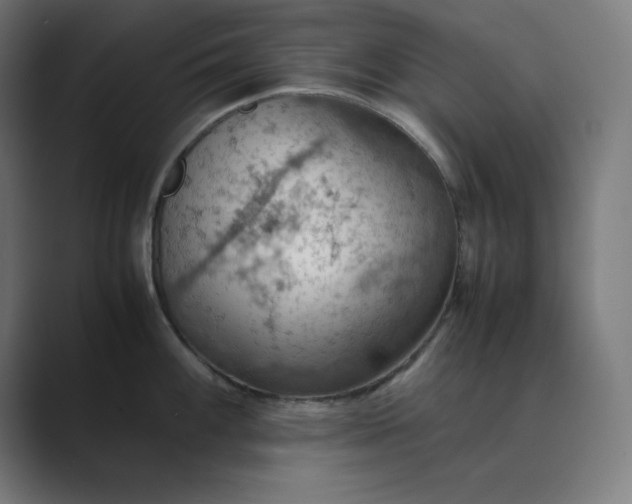 X0000089371100200706291243