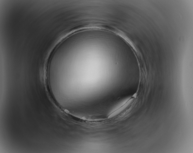 X0000089371101200706291243