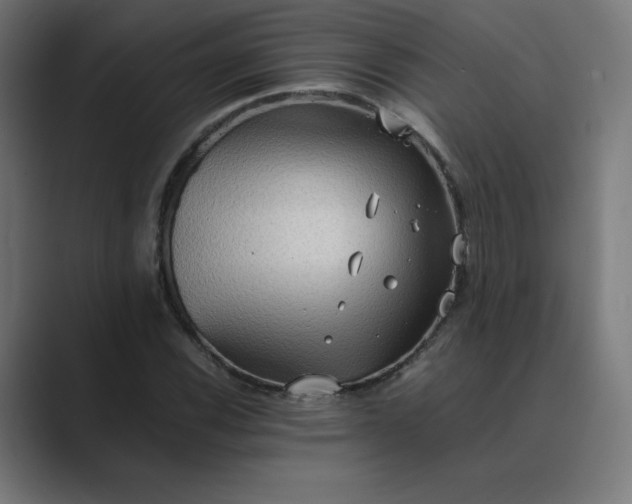 X0000089371116200706291242