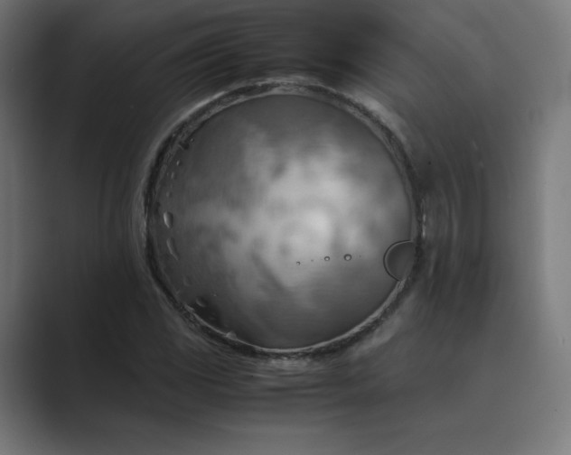 X0000089371117200706291242