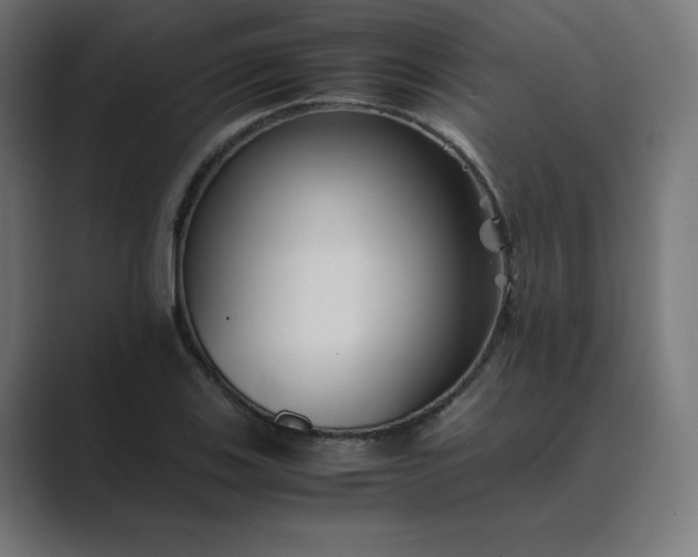 X0000089371123200706291242