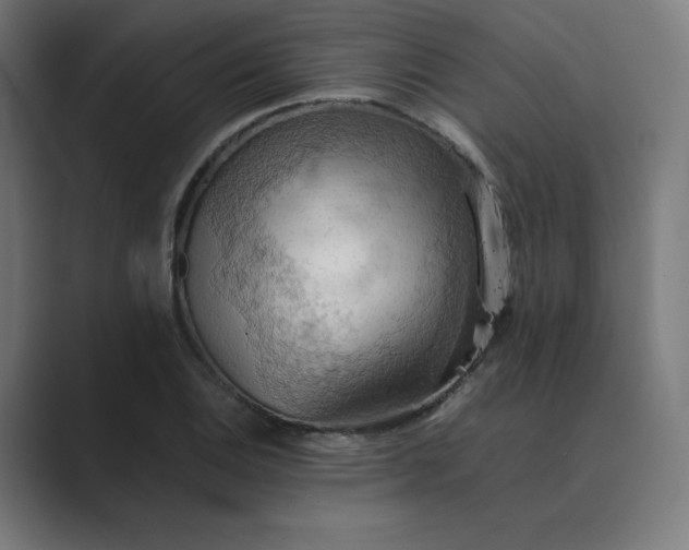 X0000089371124200706291242