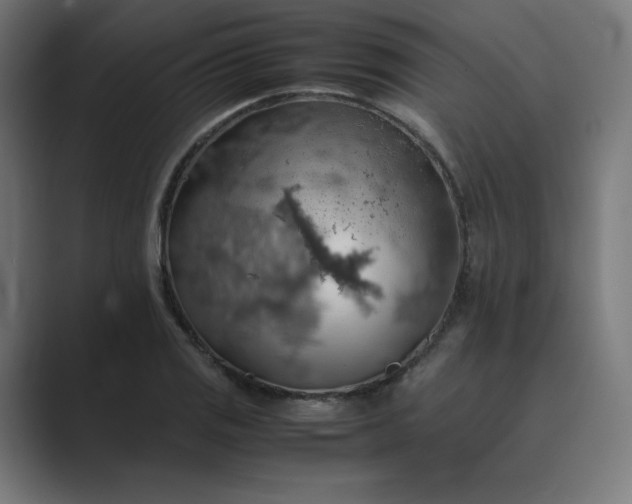 X0000089371125200706291242