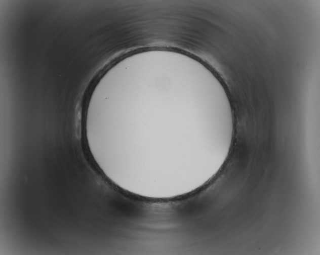 X0000089371126200706291242