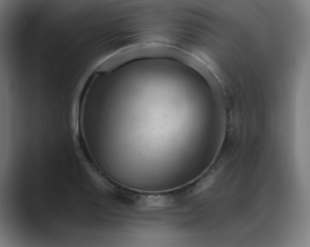 X0000089371128200706291242