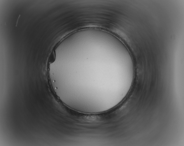 X0000089371129200706291242