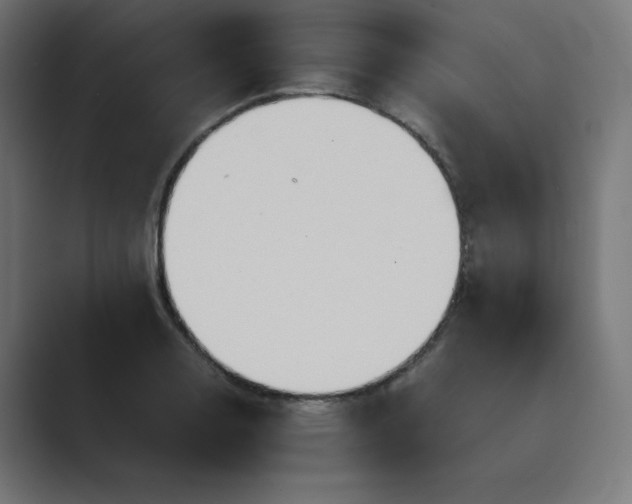 X0000089371130200706291242