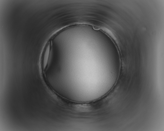 X0000089371133200706291242