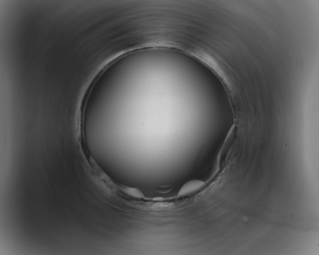 X0000089371140200706291242