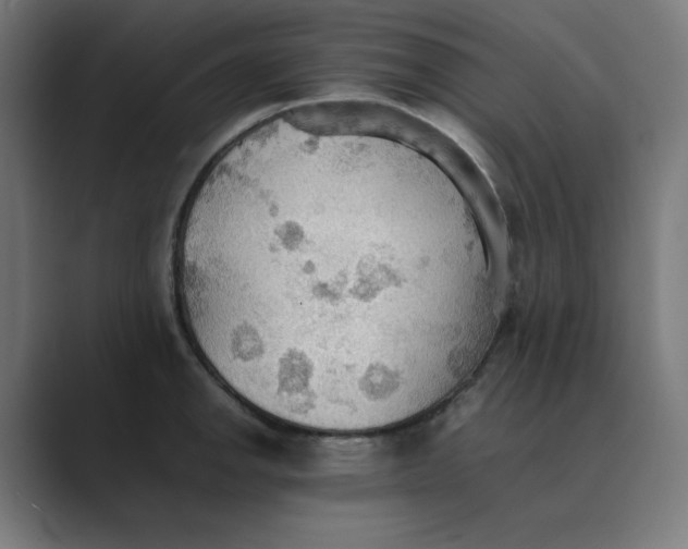 X0000089371142200706291242
