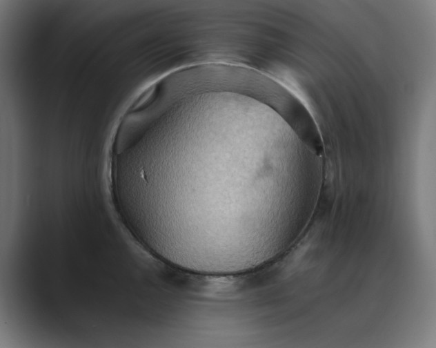 X0000089371144200706291242