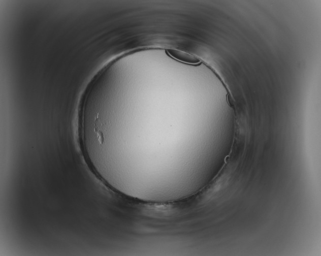 X0000089371147200706291242