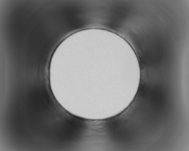 X0000089371150200706291243