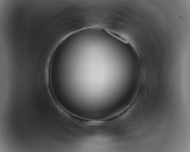 X0000089371151200706291243